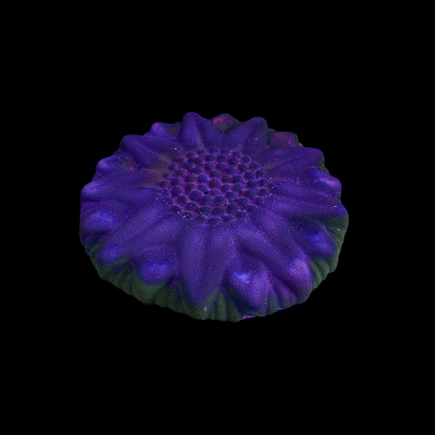 One (1) Large Sunflower