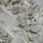 Corn Starch